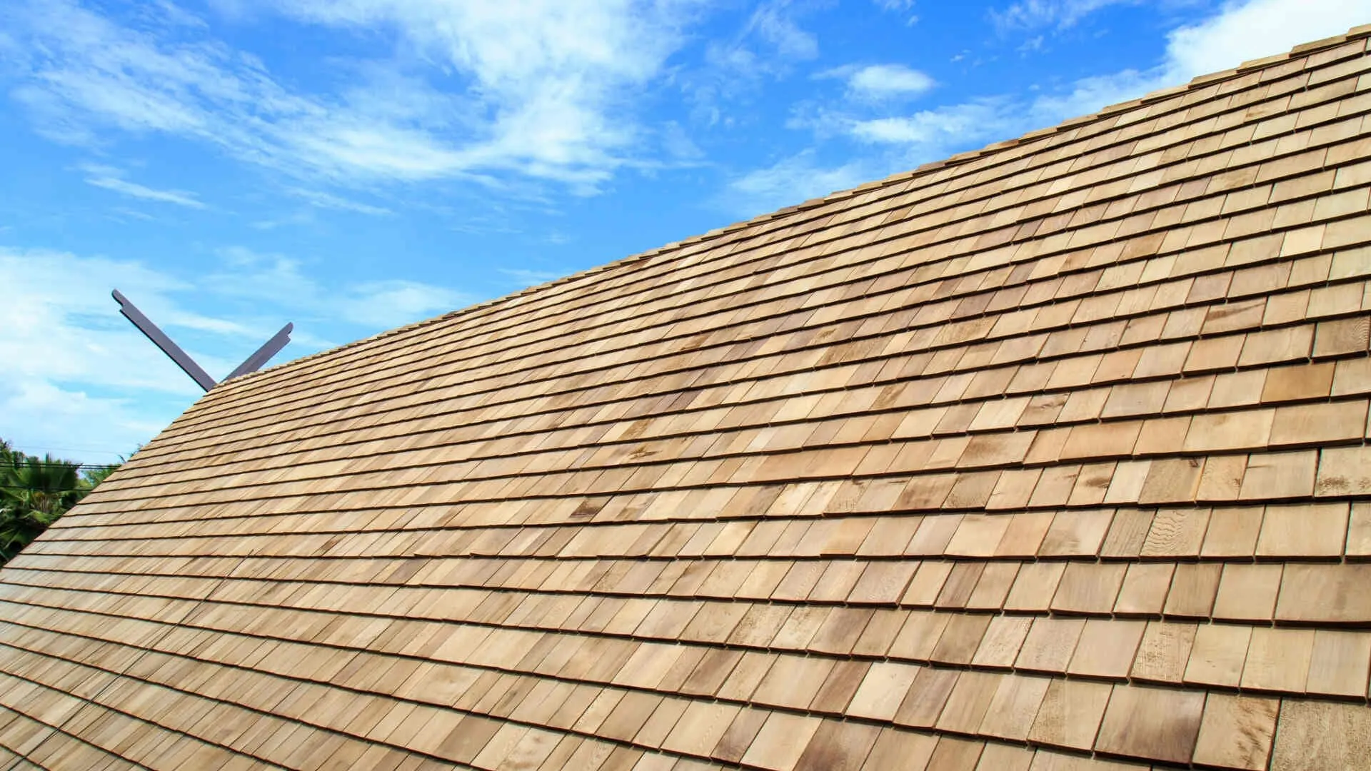 Should You Seal a Cedar Roof?