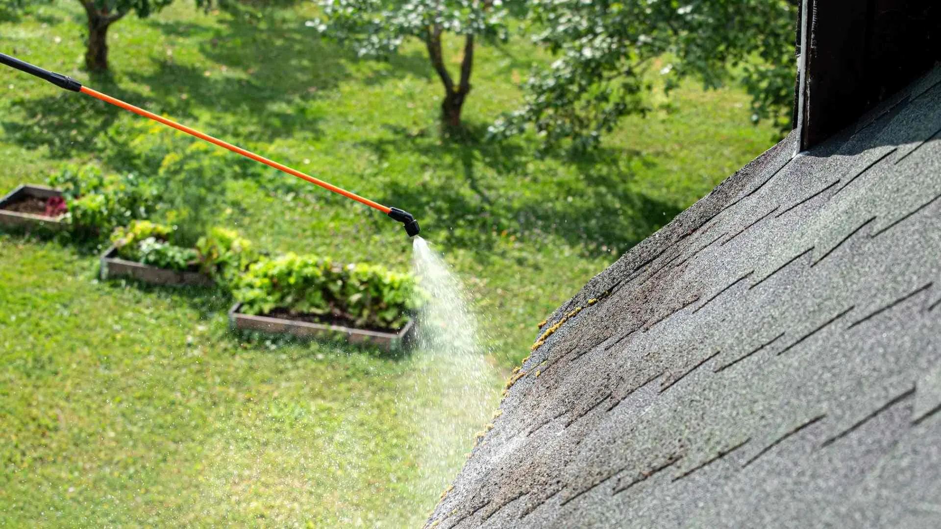 How to Clean an Asphalt Shingle Roof