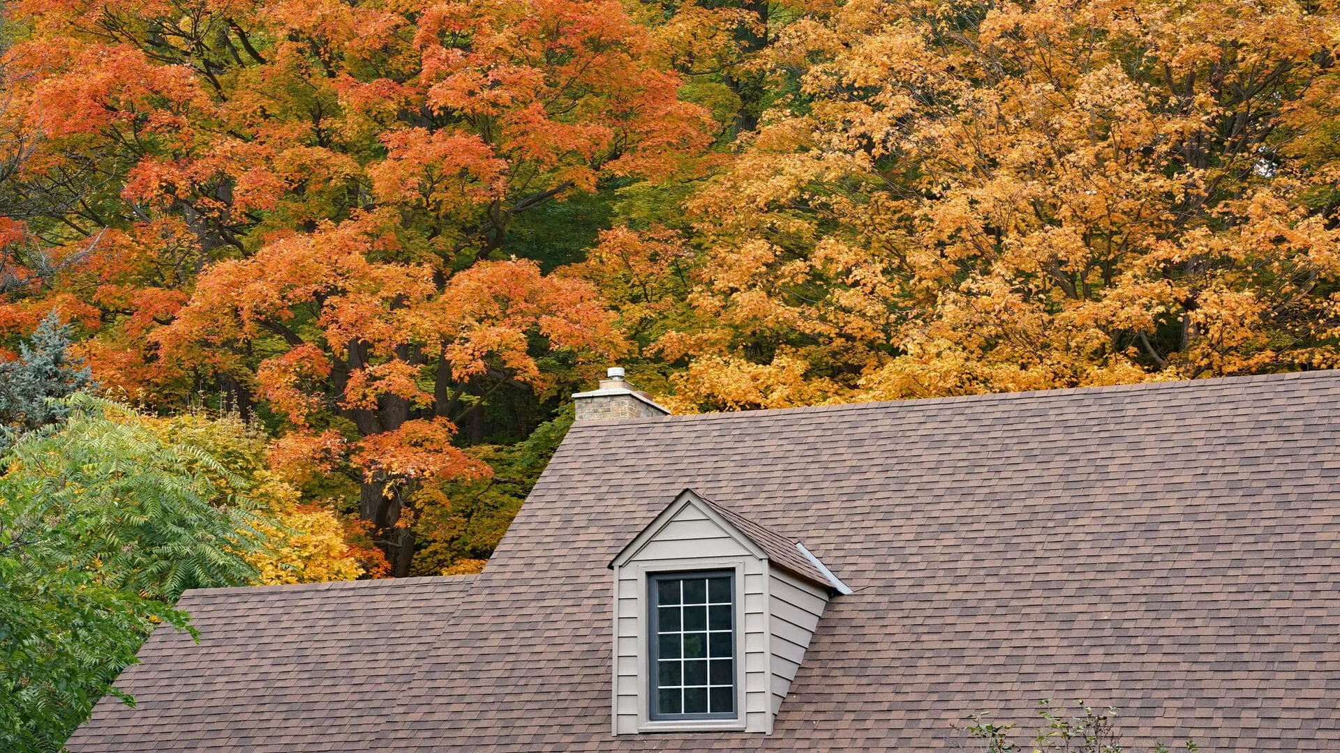 Regional Roofing Costs: Why Prices Vary By State And City