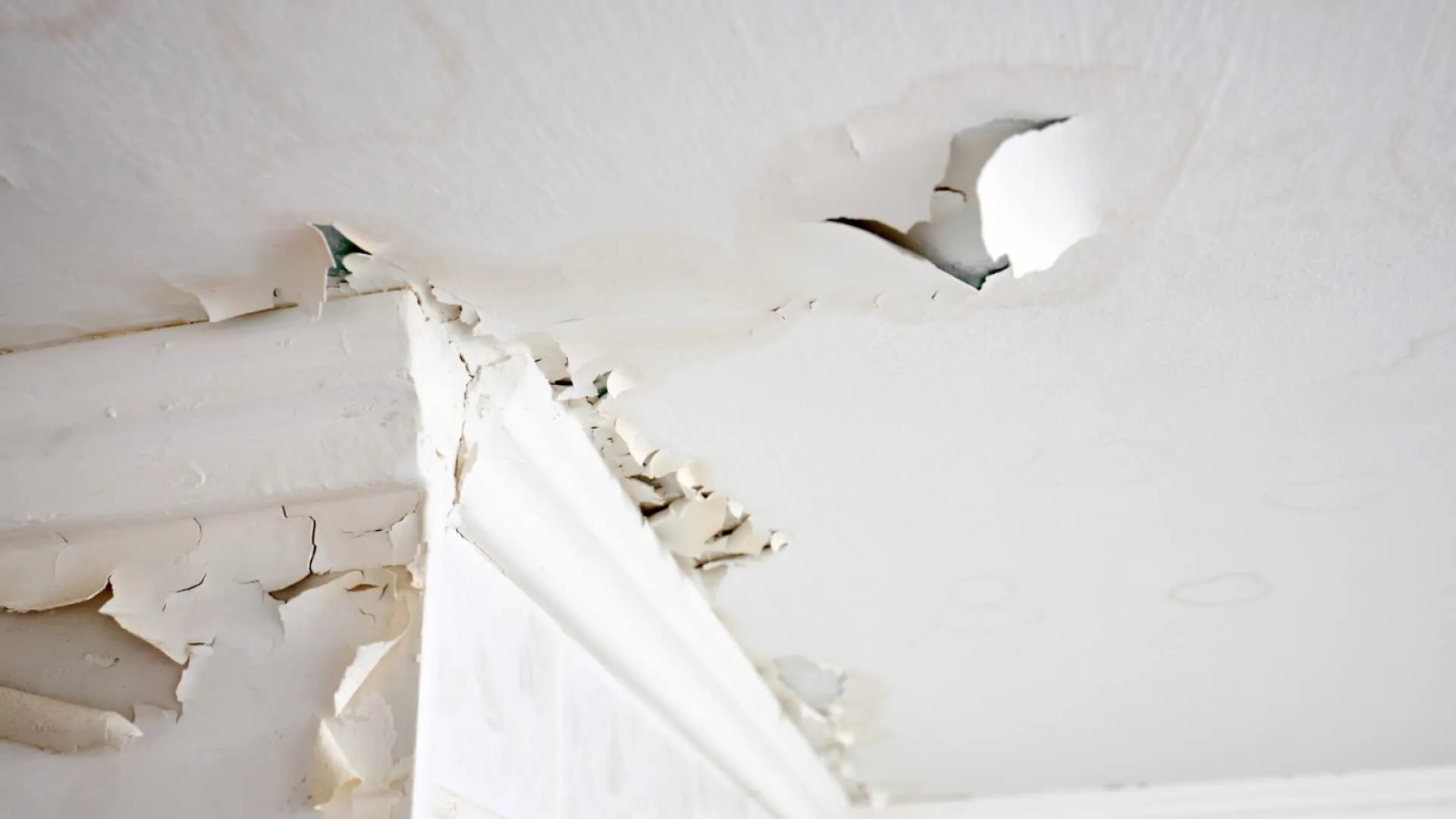 How to fix a leaking roof?