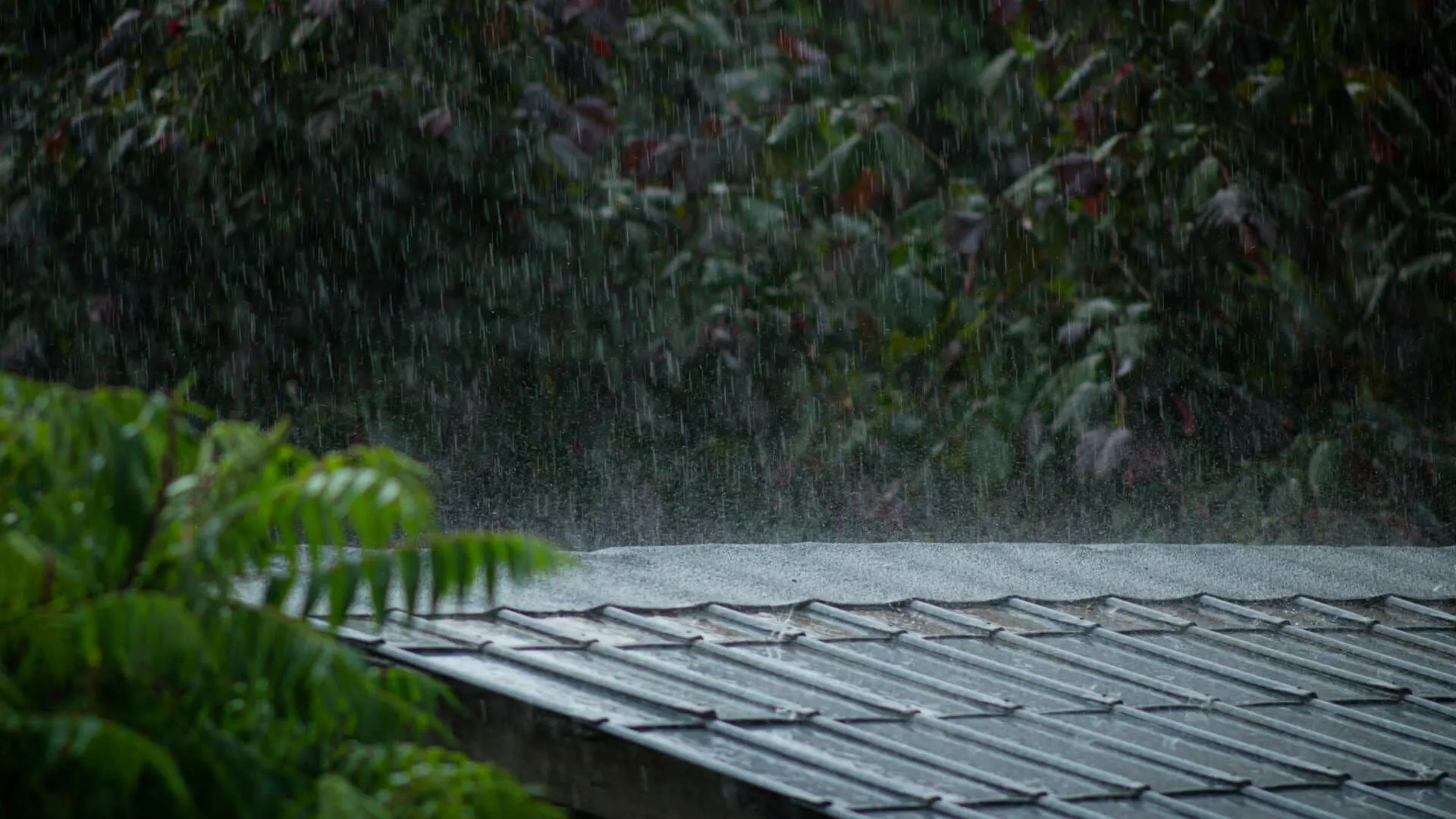 What is the Best Roof for a Rainy Climate?
